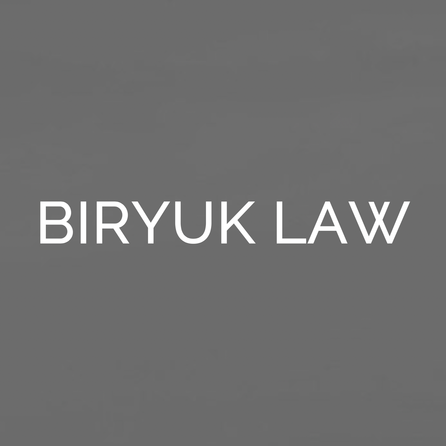 Biryuk Law - Your US Business Law Hub